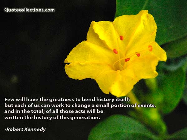 Robert Kennedy Quotes1